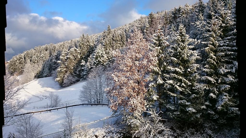 Waldblick Tonbach Apartment Baiersbronn Room photo